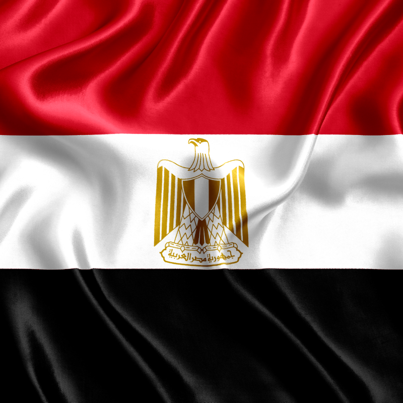 Cardiac amyloidosis centers in Egypt