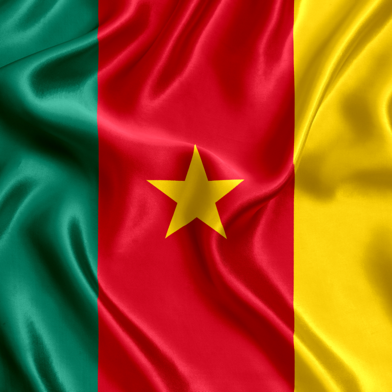Cardiac amyloidosis centers in Cameroon